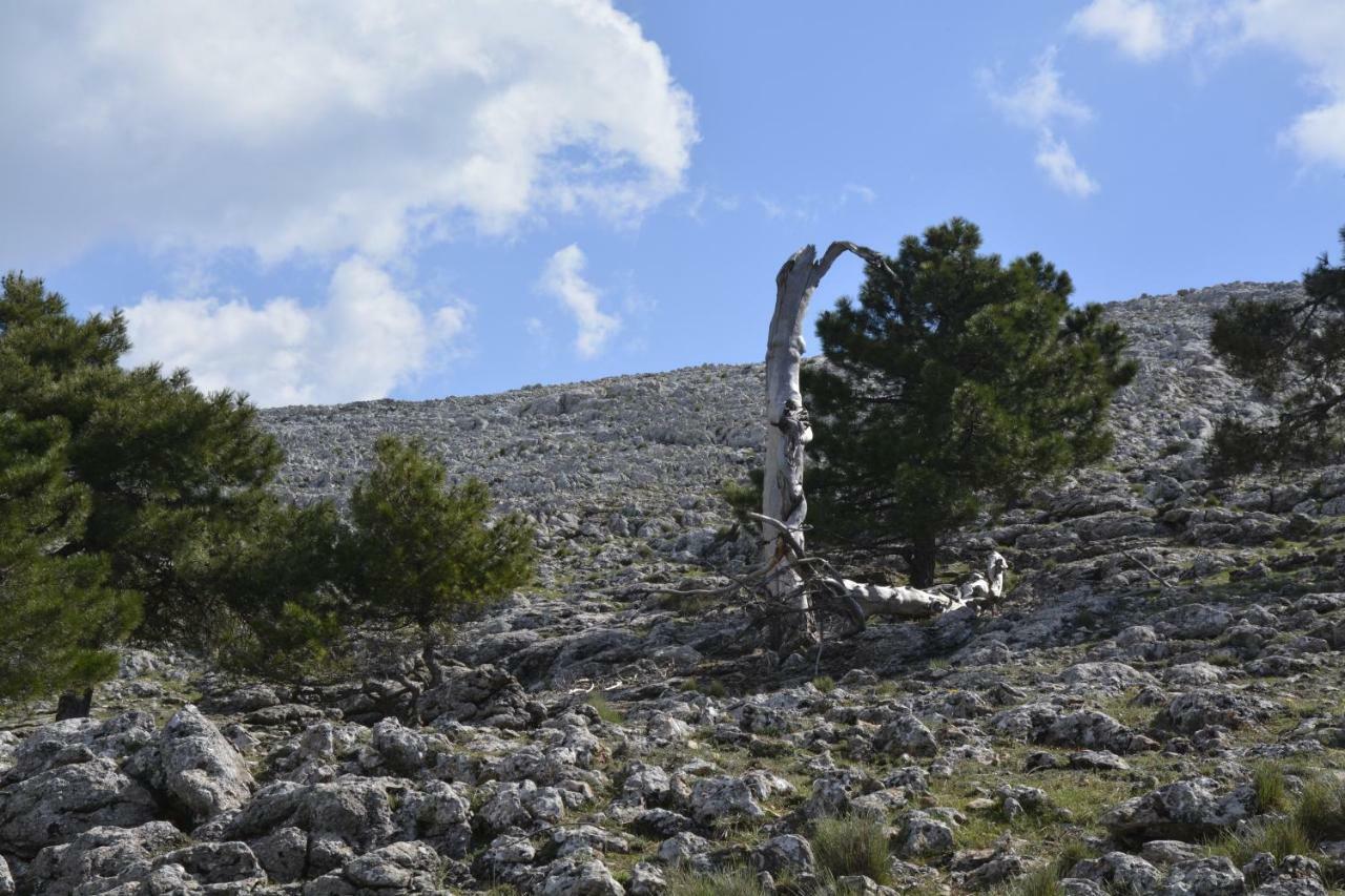 Pensjonat Chorros Del Mundo Turismo Rural Riópar Zewnętrze zdjęcie